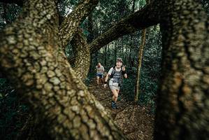 BIB: 
                            <button type="button" onclick="openModal(25670483)" class="btn btn-primary btn-sm float-right btn-popup" data-toggle="modal" data-target=".modal-high-quality">
                        <i class="fas fa-shopping-cart"></i> Add to Cart
                    </button>
                                            <button type="button" onclick="isThisMe(25670483, true)" class="btn btn-success btn-sm float-right btn-popup btn-isme hidden" data-toggle="tooltip" data-placement="bottom" title="นี่คือรูปของคุณใช่ไหม คลิกที่นี่เพื่อเอาเข้าอัลบั้ม">
                        <i class="fas fa-plus"></i> Add to album
                    </button>
                    <button type="button" onclick="isThisMe(25670483, false)" class="btn btn-warning btn-sm float-right btn-popup btn-isnotme hidden">
                        <i class="fas fa-ban"></i> Remove from album
                    </button>